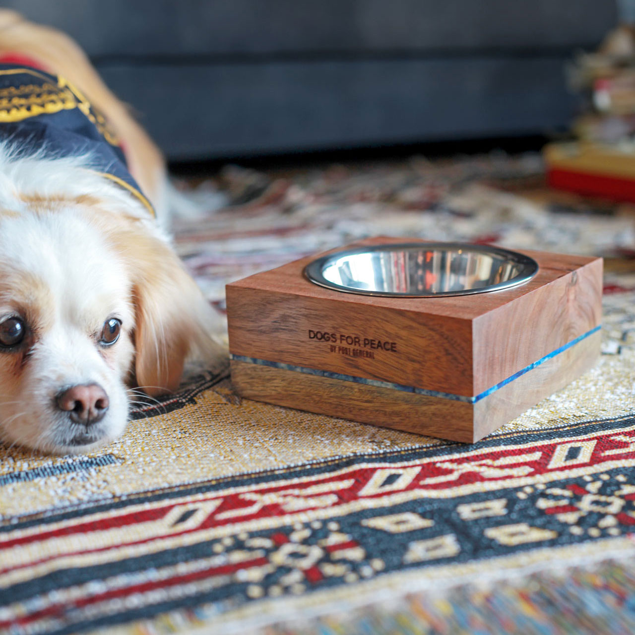 WOODEN DOG BOWL / ウッデンドッグボウル - SILVER 【960024009